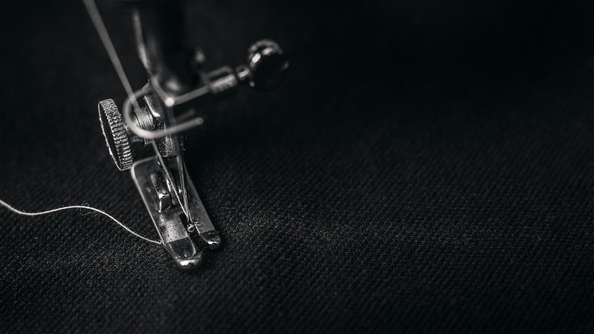 alexander-andrews-jNKv4QohAk0-unsplash